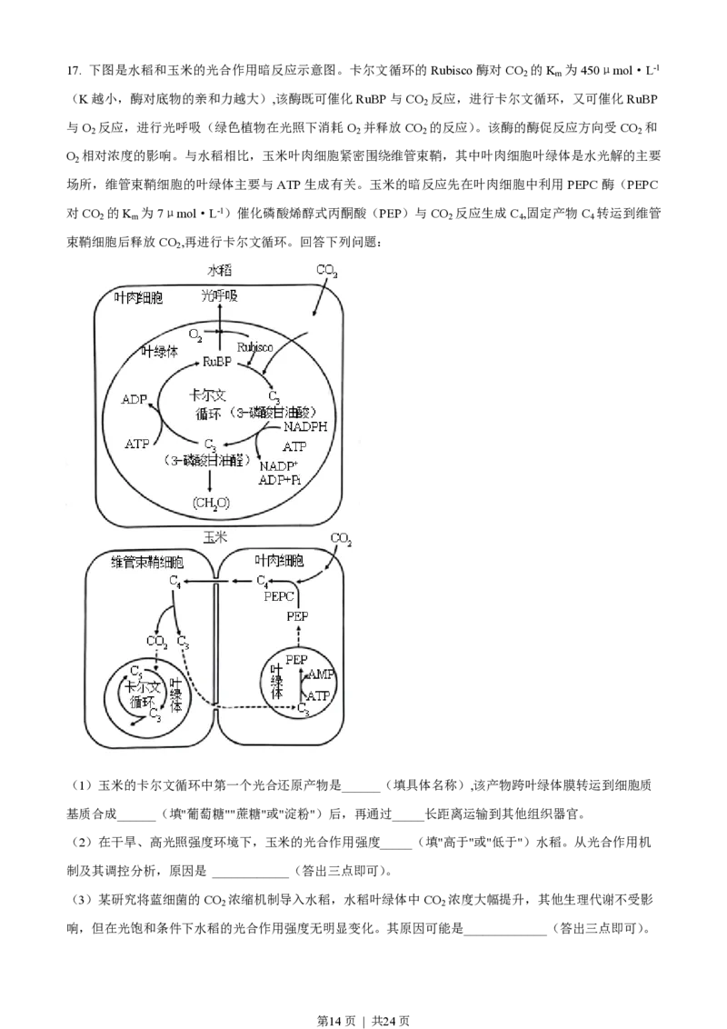2023年高考生物试卷（湖南）（解析卷）_生物历年高考真题_新&middot;PDF版2008-2025&middot;高考生物真题_生物（按省份分类）2008-2025_2008-2025&middot;（湖南）生物高考真题