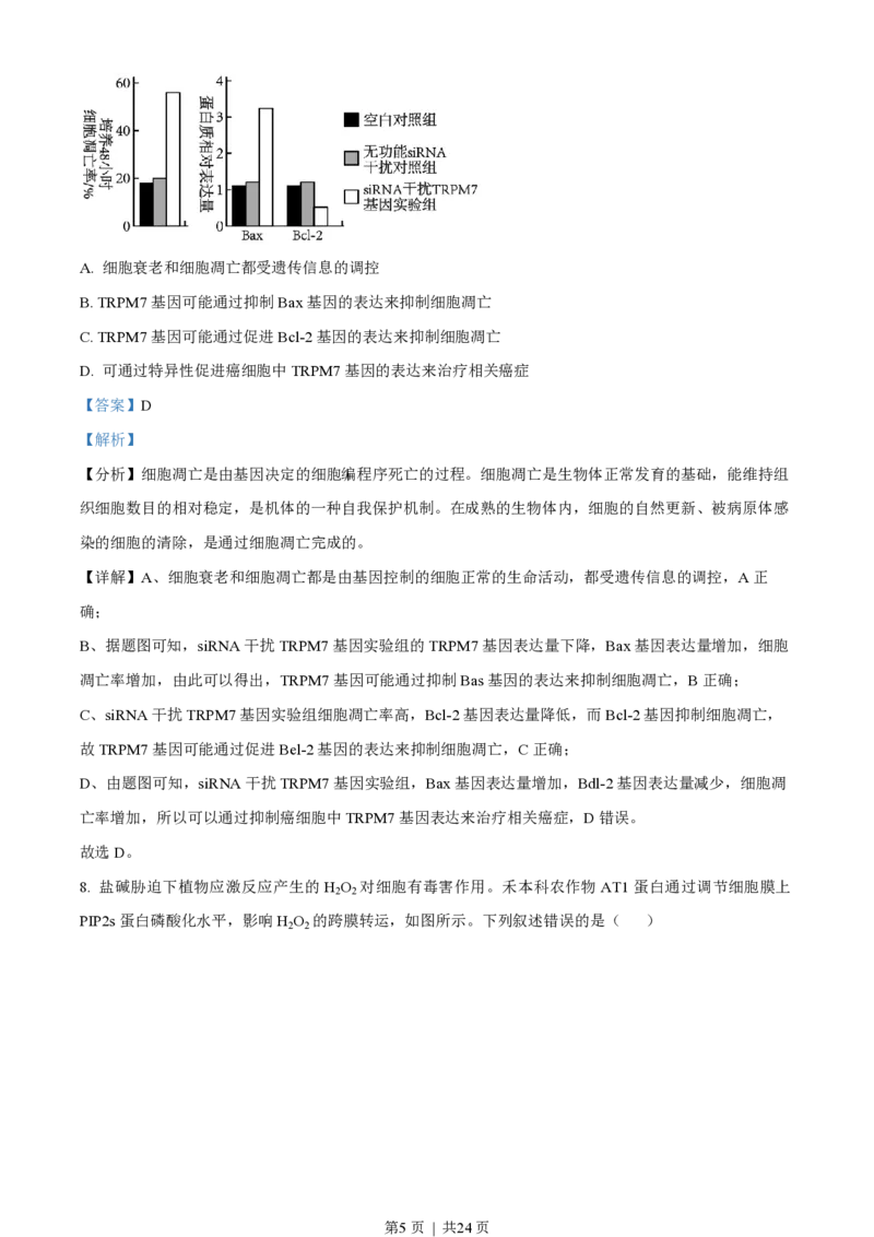 2023年高考生物试卷（湖南）（解析卷）_生物历年高考真题_新&middot;PDF版2008-2025&middot;高考生物真题_生物（按省份分类）2008-2025_2008-2025&middot;（湖南）生物高考真题