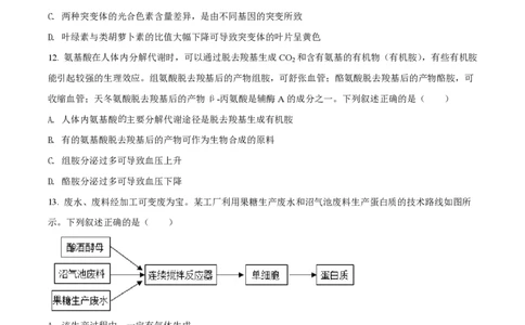 2022年高考生物试卷（湖北）（空白卷）_生物历年高考真题_新&middot;PDF版2008-2025&middot;高考生物真题_生物（按省份分类）2008-2025_2008-2025&middot;（湖北）生物高考真题