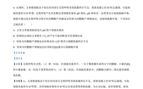 2023年高考生物试卷（山东）（解析卷）_生物历年高考真题_新&middot;PDF版2008-2025&middot;高考生物真题_生物（按年份分类）2008-2025_2023&middot;高考生物真题