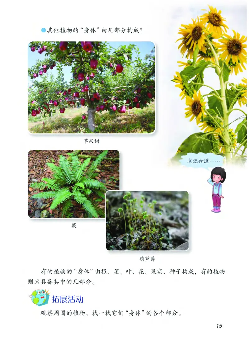 青岛版3年级科学上册高清教材_全部版本&bull;小学科学电子课本_青岛版63制小学科学课本