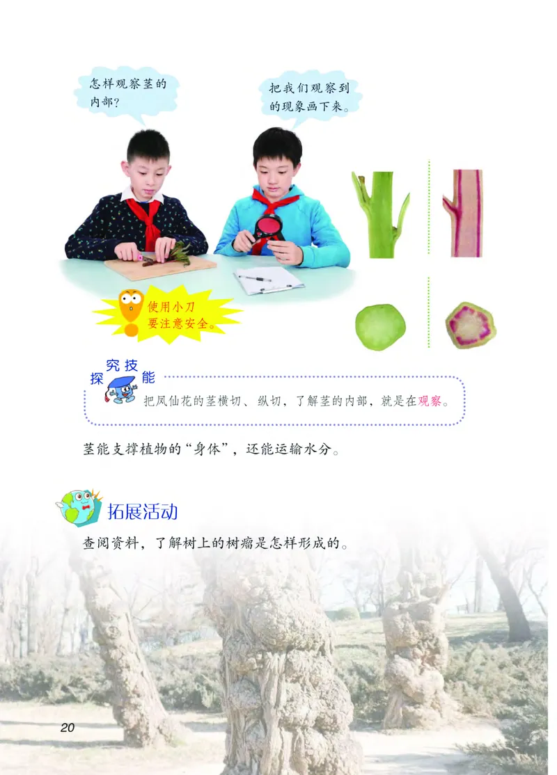 青岛版3年级科学上册高清教材_全部版本&bull;小学科学电子课本_青岛版63制小学科学课本