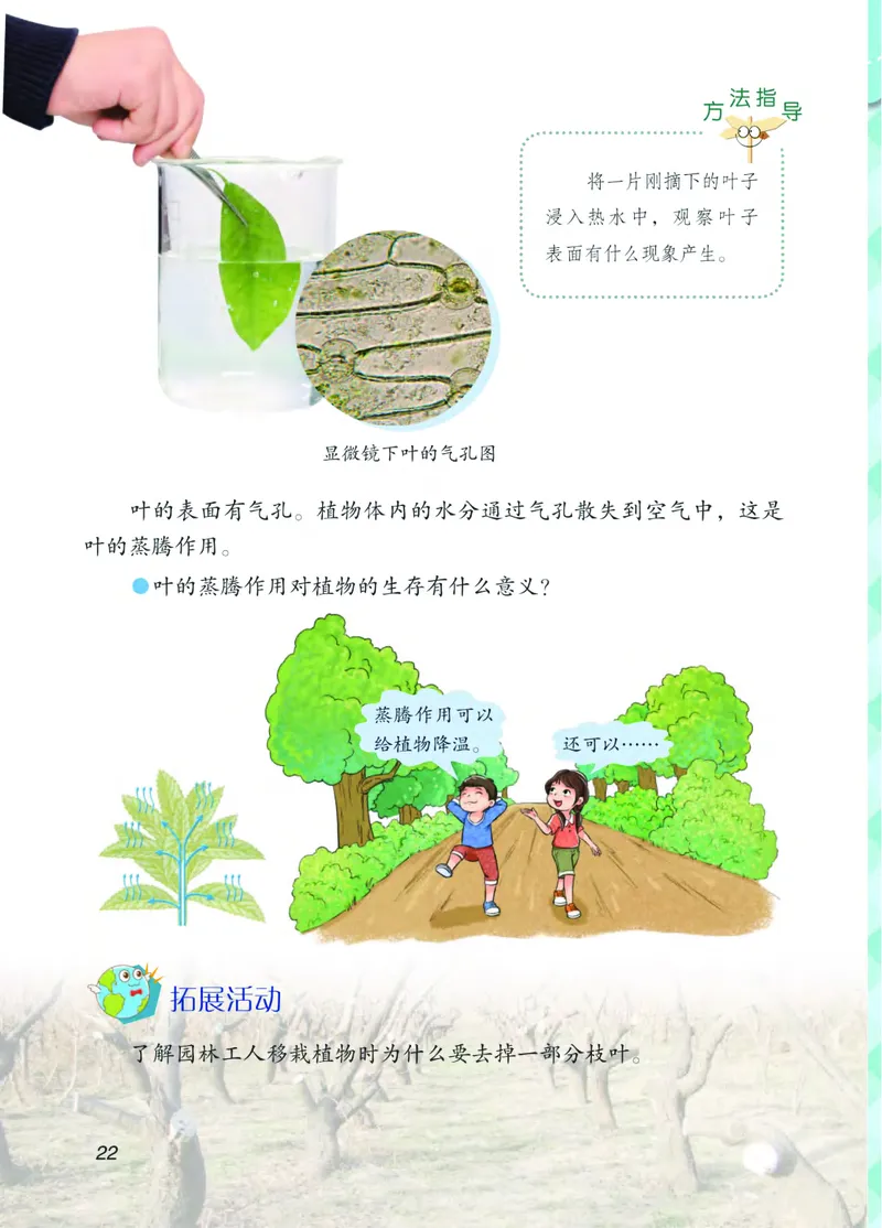 青岛版3年级科学上册高清教材_全部版本&bull;小学科学电子课本_青岛版63制小学科学课本