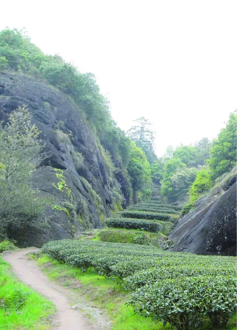 青岛版3年级科学上册高清教材_全部版本&bull;小学科学电子课本_青岛版63制小学科学课本