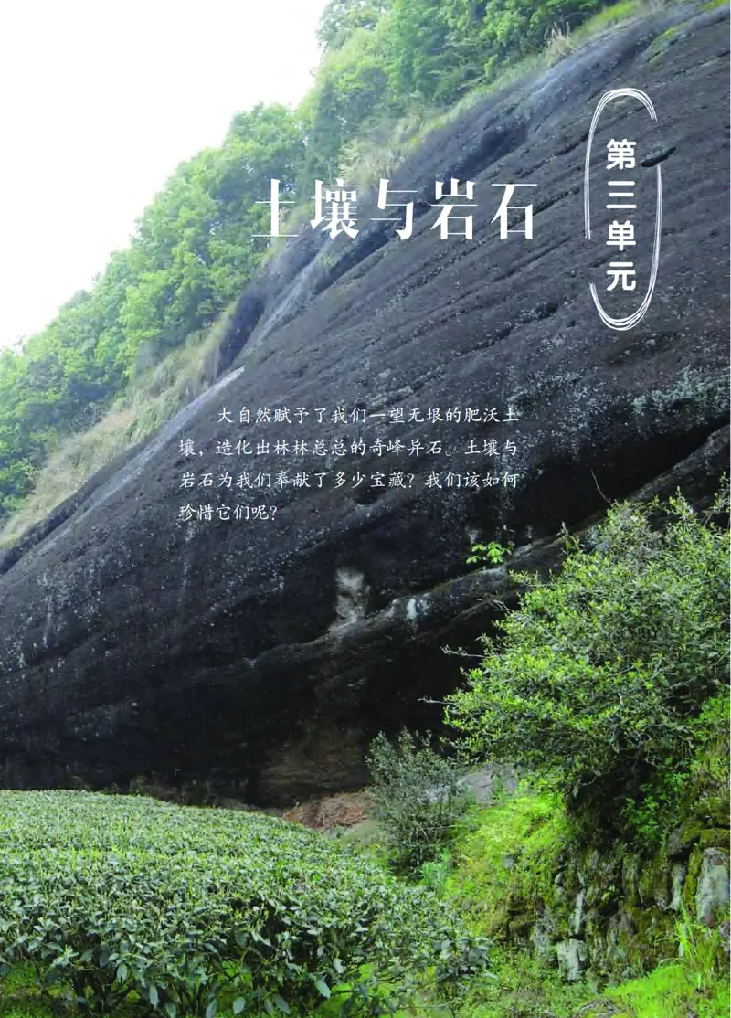 青岛版3年级科学上册高清教材_全部版本&bull;小学科学电子课本_青岛版63制小学科学课本