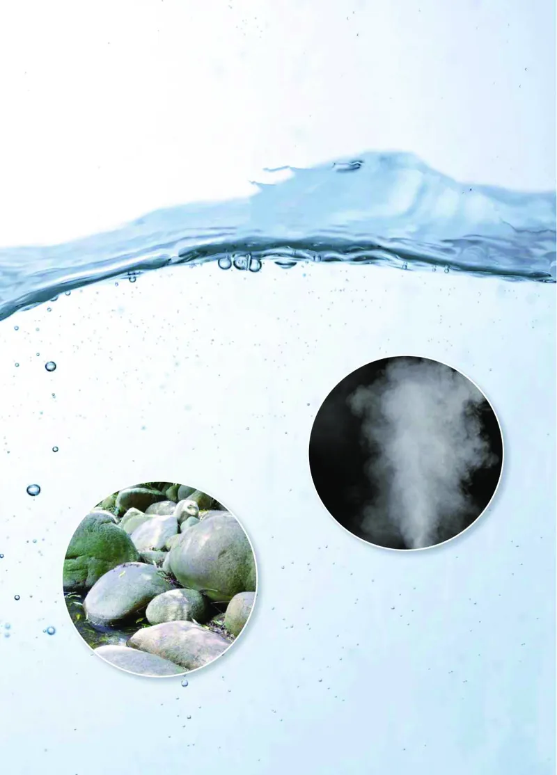 青岛版3年级科学上册高清教材_全部版本&bull;小学科学电子课本_青岛版63制小学科学课本