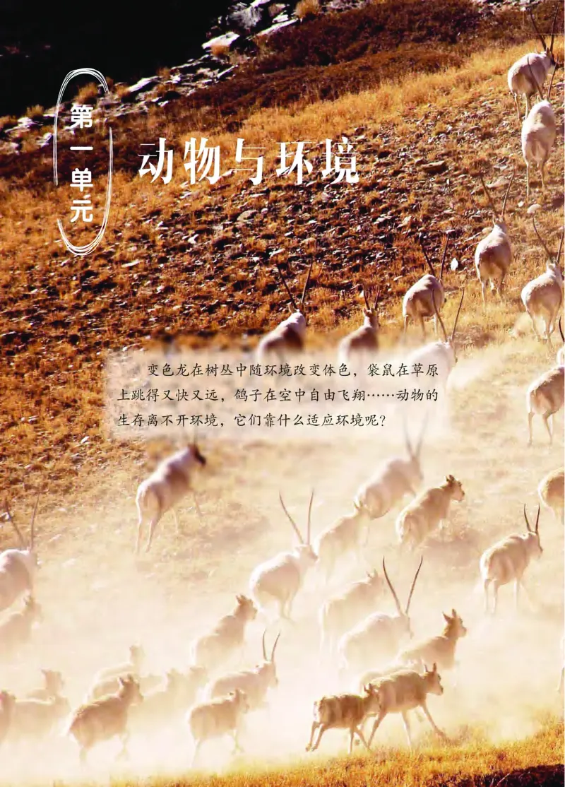 青岛版3年级科学上册高清教材_全部版本&bull;小学科学电子课本_青岛版63制小学科学课本