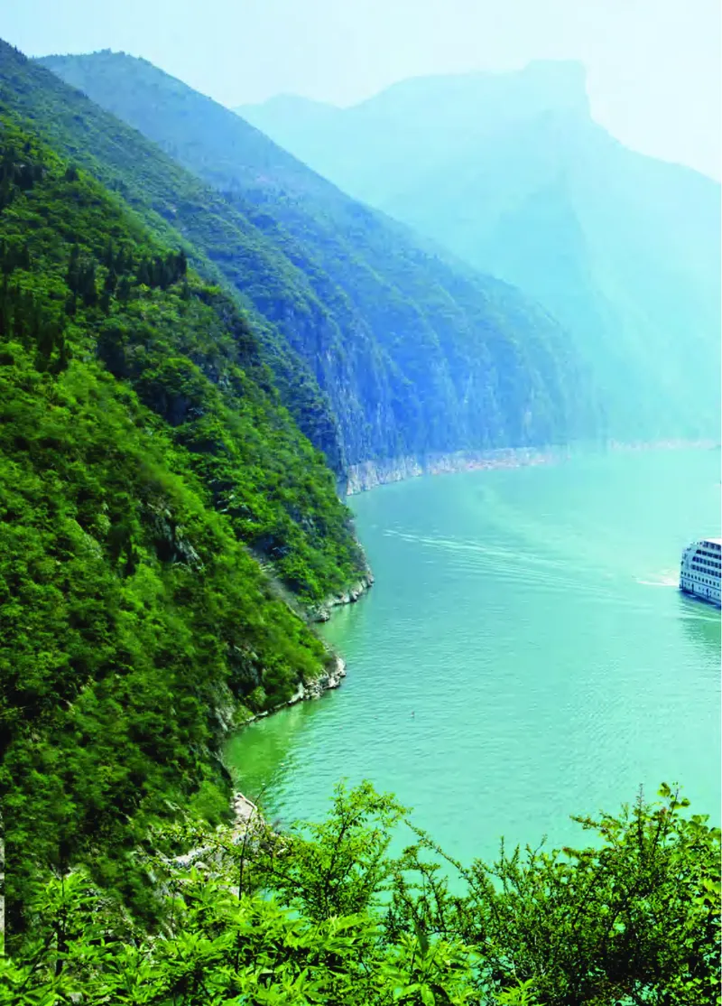 青岛版3年级科学上册高清教材_全部版本&bull;小学科学电子课本_青岛版63制小学科学课本