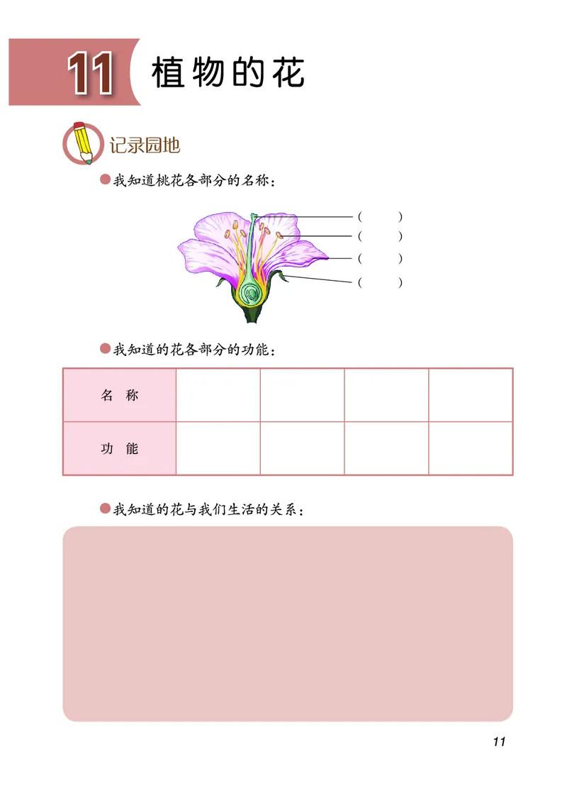 青岛版3年级科学下册活动手册_全部版本&bull;小学科学电子课本_青岛版63制小学科学课本