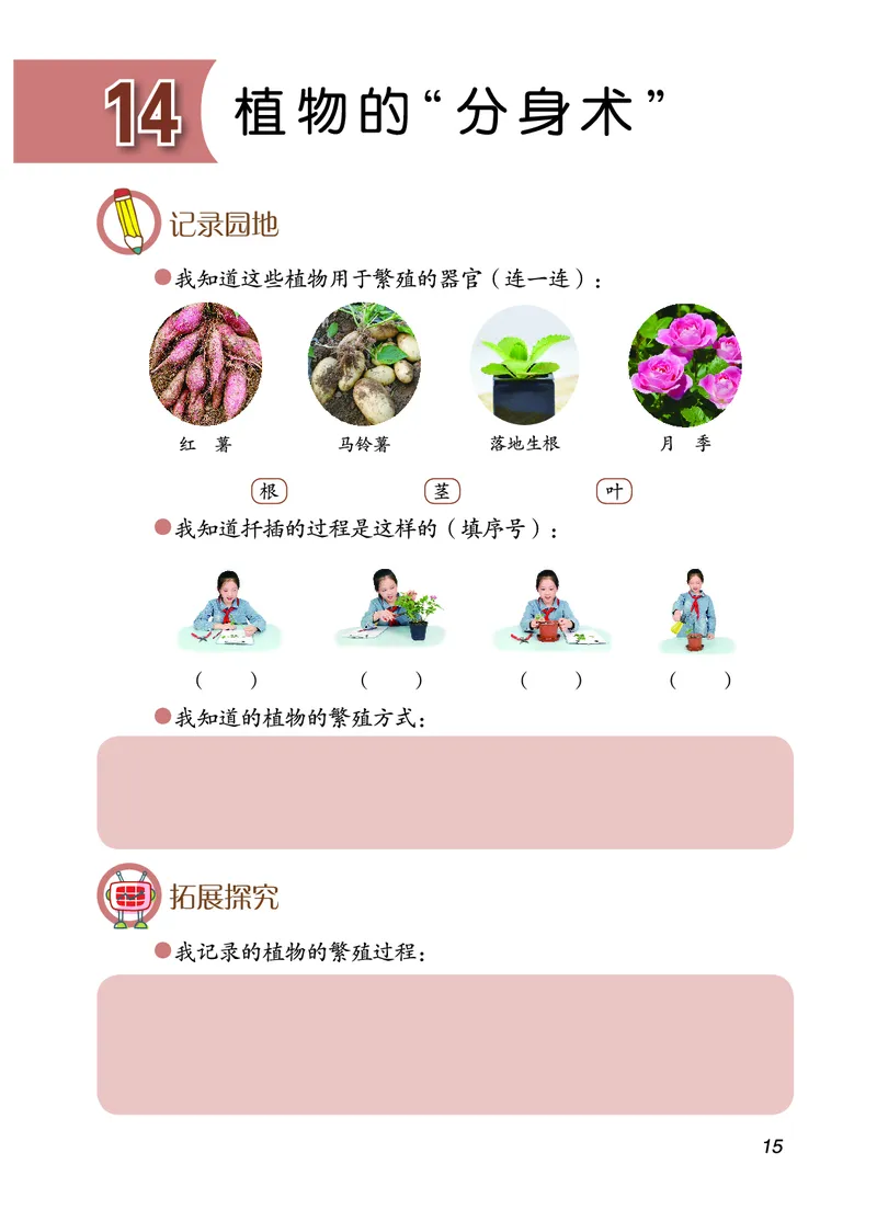 青岛版3年级科学下册活动手册_全部版本&bull;小学科学电子课本_青岛版63制小学科学课本