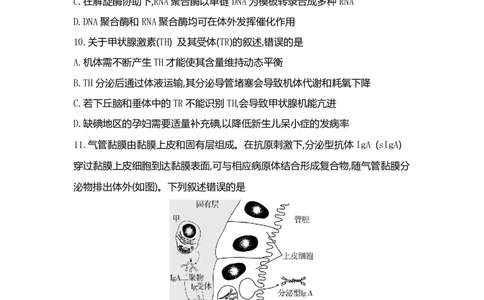 2022年高考生物试卷（河北）（空白卷）_生物历年高考真题_新&middot;PDF版2008-2025&middot;高考生物真题_生物（按省份分类）2008-2025_2008-2025&middot;（河北）生物高考真题