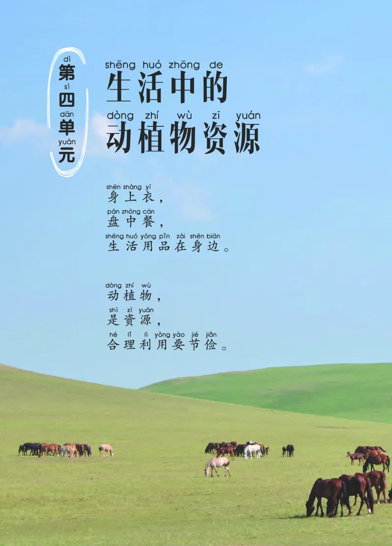 青岛版2年级科学上册高清教材_全部版本&bull;小学科学电子课本_青岛版63制小学科学课本