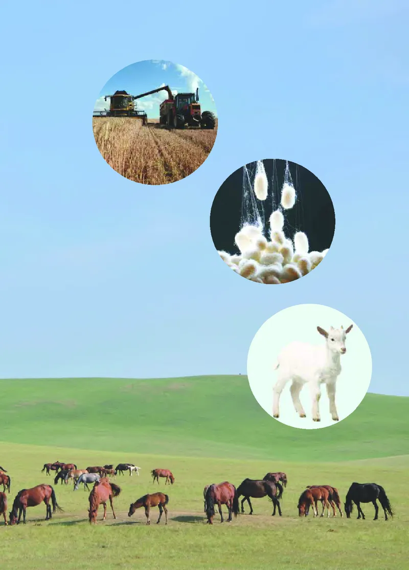 青岛版2年级科学上册高清教材_全部版本&bull;小学科学电子课本_青岛版63制小学科学课本