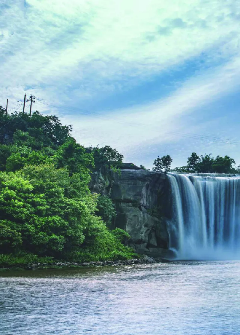 青岛版1年级科学上册高清教材_全部版本&bull;小学科学电子课本_青岛版63制小学科学课本