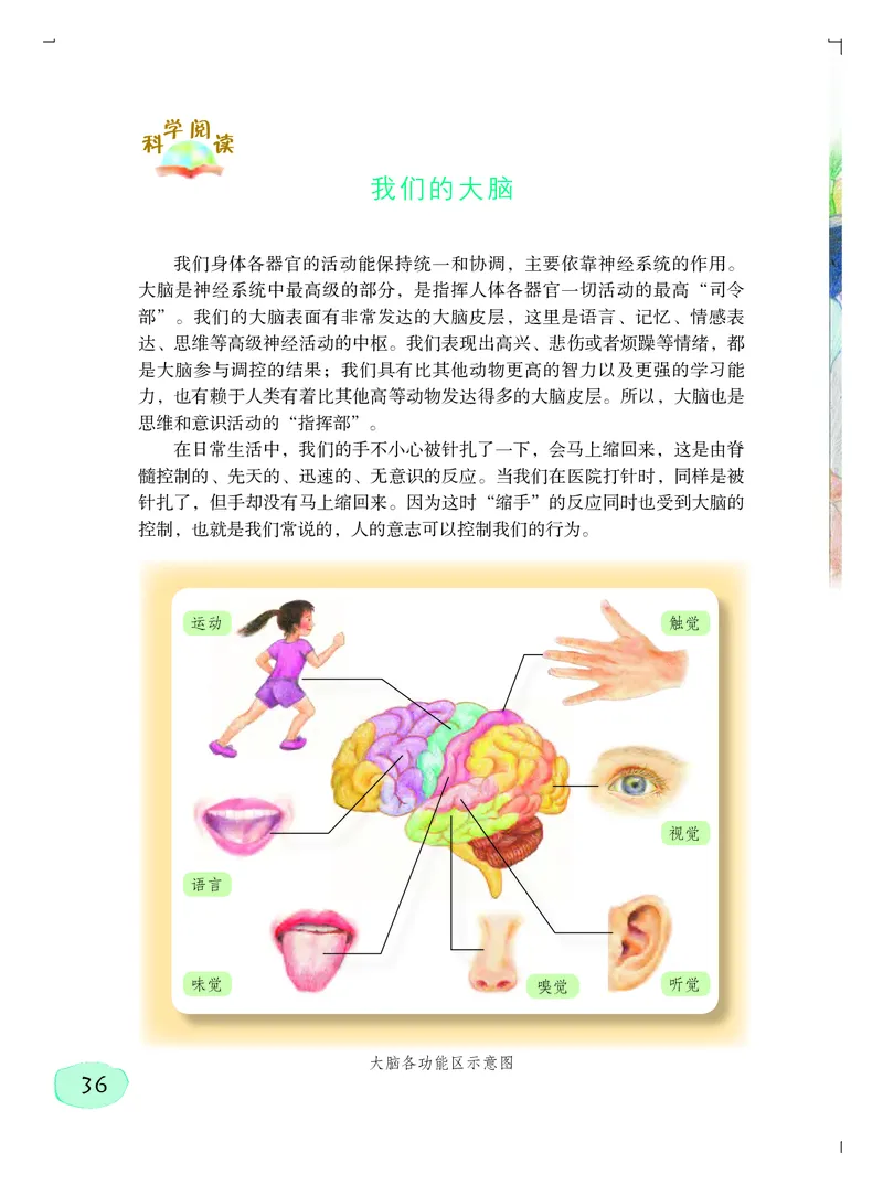 粤教版6年级科学上册高清教材_全部版本&bull;小学科学电子课本_粤教版小学科学电子课本