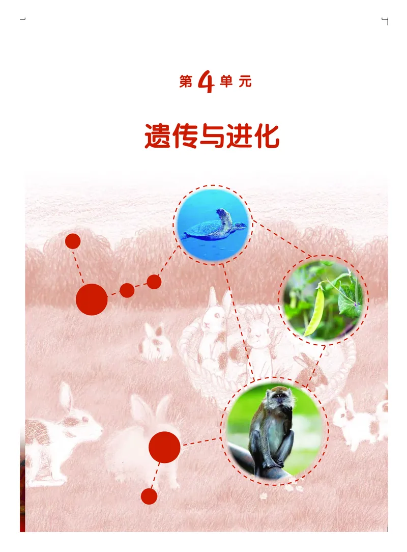 粤教版6年级科学上册高清教材_全部版本&bull;小学科学电子课本_粤教版小学科学电子课本