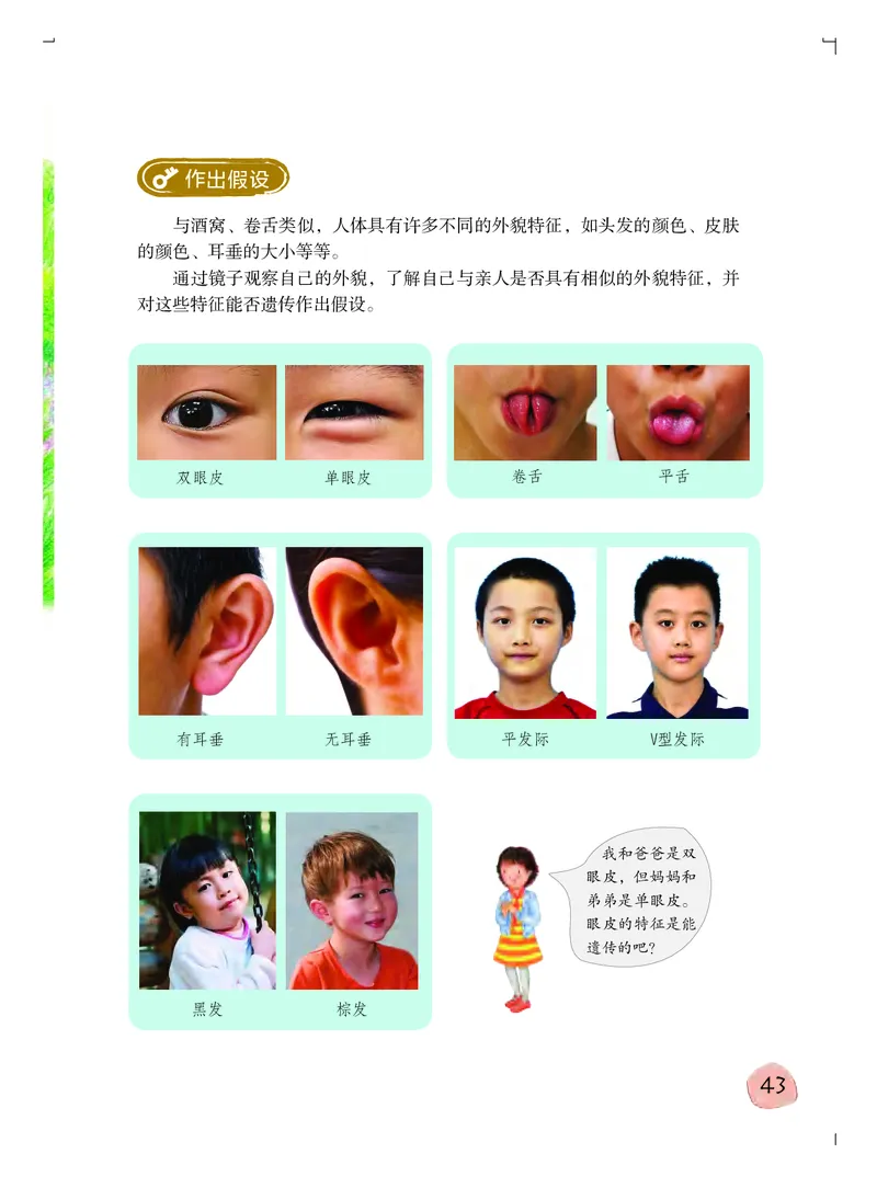 粤教版6年级科学上册高清教材_全部版本&bull;小学科学电子课本_粤教版小学科学电子课本
