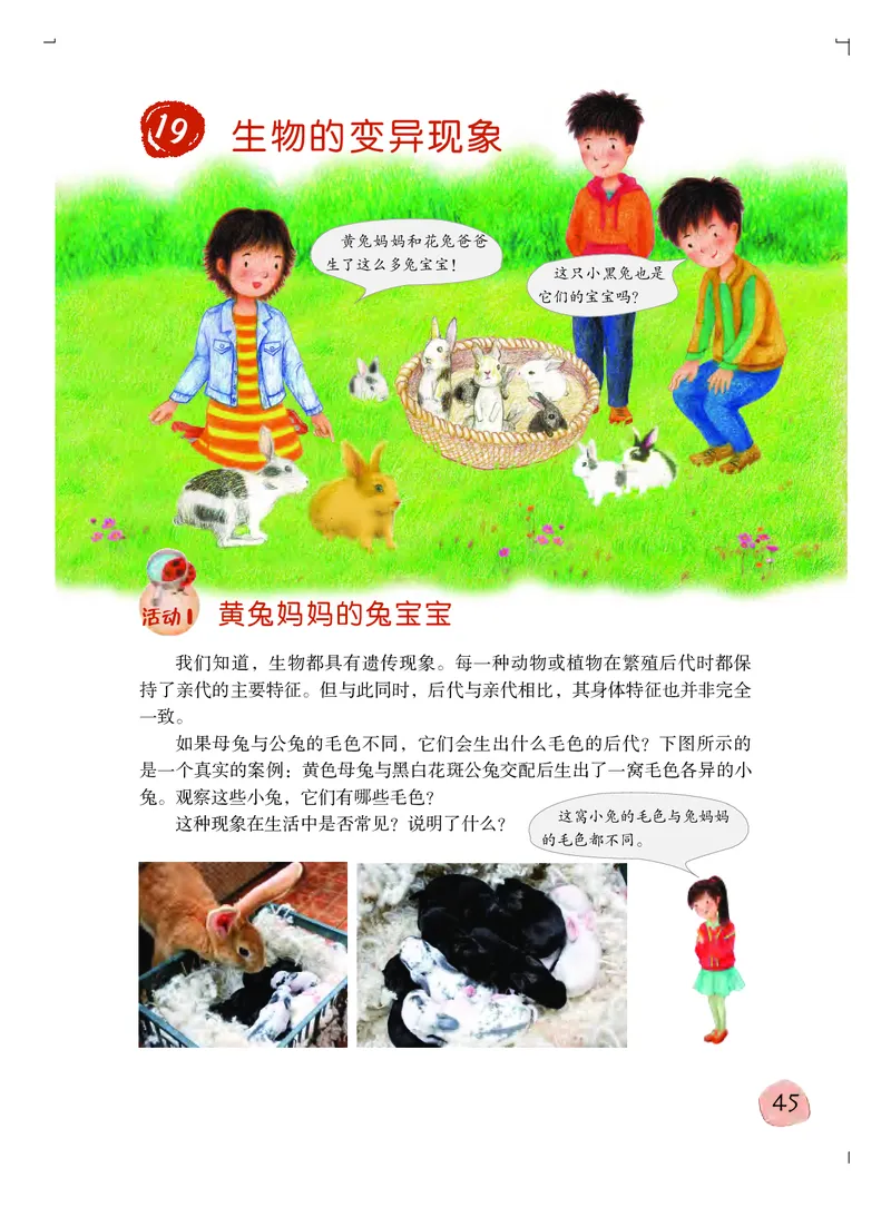 粤教版6年级科学上册高清教材_全部版本&bull;小学科学电子课本_粤教版小学科学电子课本