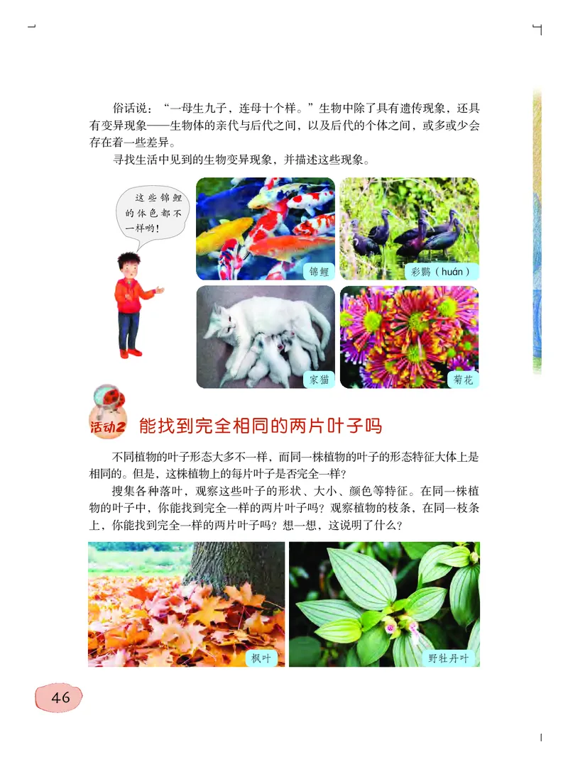 粤教版6年级科学上册高清教材_全部版本&bull;小学科学电子课本_粤教版小学科学电子课本