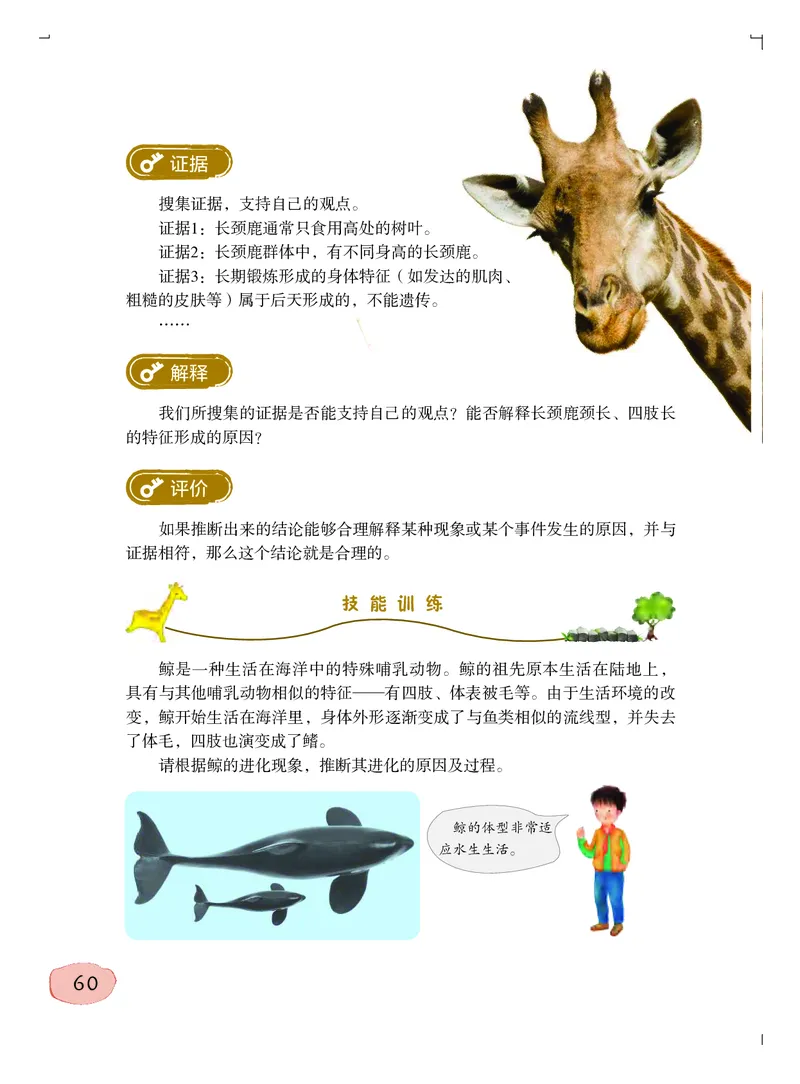 粤教版6年级科学上册高清教材_全部版本&bull;小学科学电子课本_粤教版小学科学电子课本