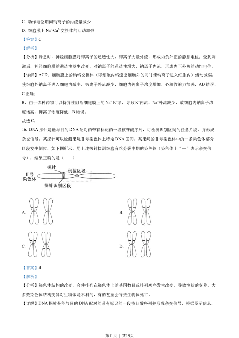 2023年高考生物试卷（湖北）（解析卷）_生物历年高考真题_新&middot;Word版2008-2025&middot;高考生物真题_生物（按省份分类）2008-2025_2008-2025&middot;（湖北）生物高考真题