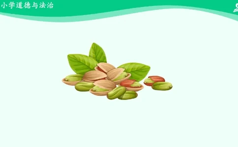 4做个&ldquo;开心果&rdquo;_课件_二年级上下册资料_小学二年级学习资料-25年更新版_2-08、小学二年级道德与法治下册_课时练与课件