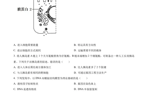 2022年高考生物试卷（重庆）（空白卷）_生物历年高考真题_新&middot;Word版2008-2025&middot;高考生物真题_生物（按年份分类）2008-2025_2022&middot;高考生物真题