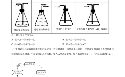 2022年高考生物试卷（重庆）（空白卷）_生物历年高考真题_新&middot;Word版2008-2025&middot;高考生物真题_生物（按年份分类）2008-2025_2022&middot;高考生物真题