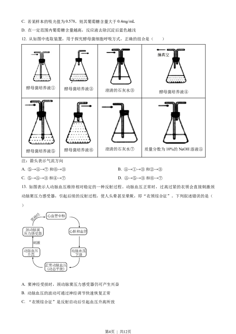 2022年高考生物试卷（重庆）（空白卷）_生物历年高考真题_新&middot;Word版2008-2025&middot;高考生物真题_生物（按年份分类）2008-2025_2022&middot;高考生物真题