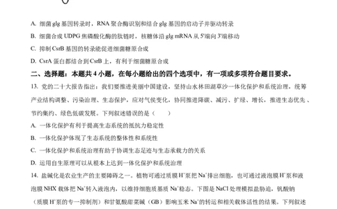 2023年高考生物试卷（湖南）（空白卷）_生物历年高考真题_新&middot;Word版2008-2025&middot;高考生物真题_生物（按年份分类）2008-2025_2023&middot;高考生物真题