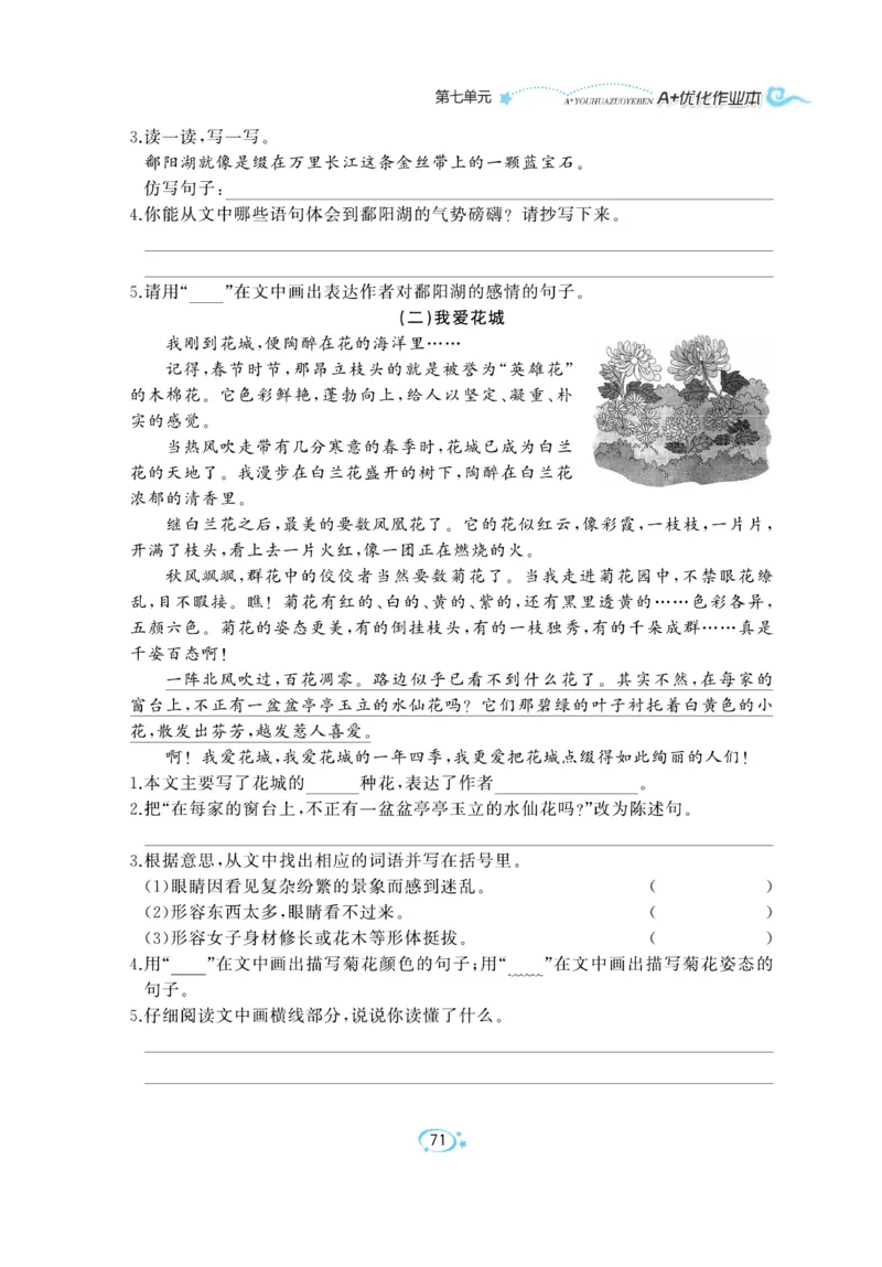 《A+优化作业本》语文3年级上册（RJ）_三年级上下册资料_小学三年级学习资料-25年更新版_3-01、小学三年级语文上册_3-1-2、练习题、作业、试题、试卷_电子册类