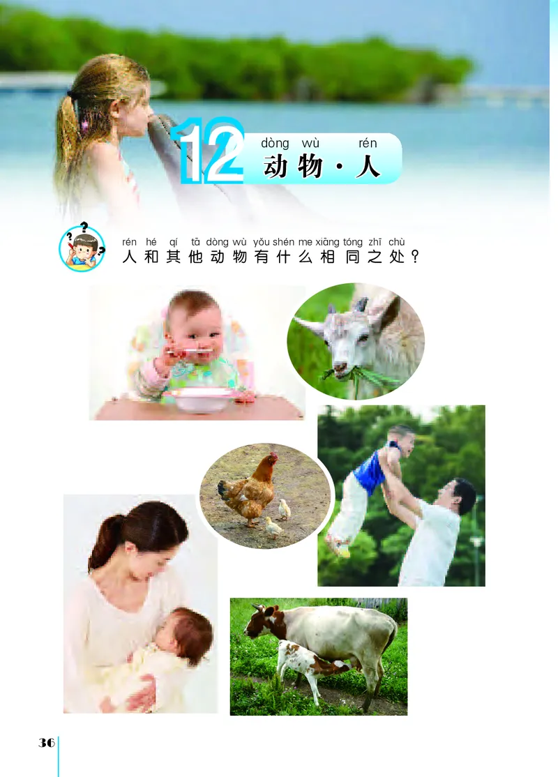 苏教版1年级科学下册高清教材_全部版本&bull;小学科学电子课本_苏教版小学科学电子课本