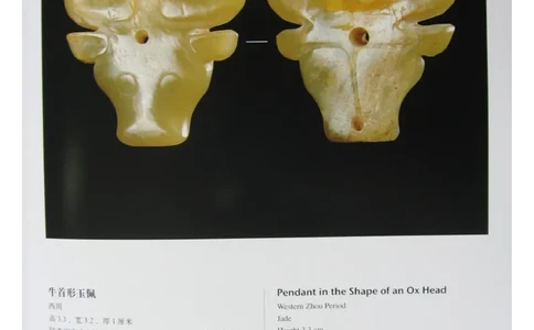 中国出土玉器全集(14)陕西_部分2_X018-玉石珠宝鉴定教程最新合集_5、玉石鉴定专题全套课程_玉石电子书_中国出土玉石全集