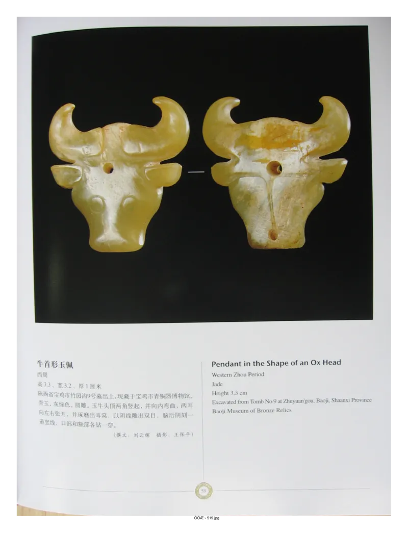 中国出土玉器全集(14)陕西_部分2_X018-玉石珠宝鉴定教程最新合集_5、玉石鉴定专题全套课程_玉石电子书_中国出土玉石全集