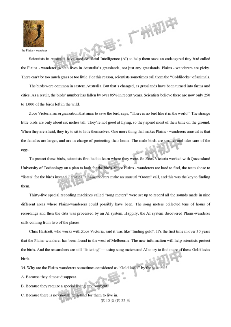 2025广东实验中学中考二模英语试题（答案解析）_广州九上月考+期中+期末+一模二模+中考真题_2025中考二模