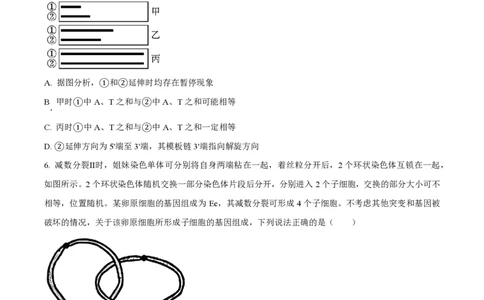 2023年高考生物试卷（山东）（空白卷）_生物历年高考真题_新&middot;PDF版2008-2025&middot;高考生物真题_生物（按试卷类型分类）2008-2025_自主命题卷&middot;生物（2008-2025）