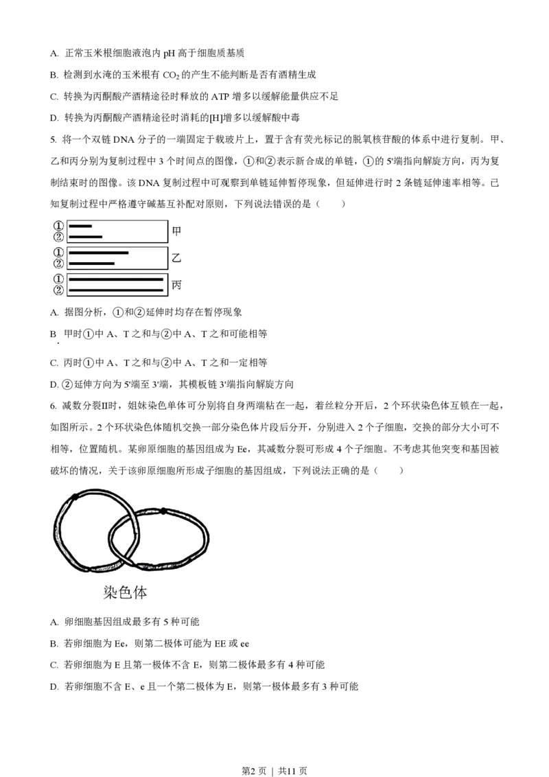 2023年高考生物试卷（山东）（空白卷）_生物历年高考真题_新&middot;PDF版2008-2025&middot;高考生物真题_生物（按试卷类型分类）2008-2025_自主命题卷&middot;生物（2008-2025）