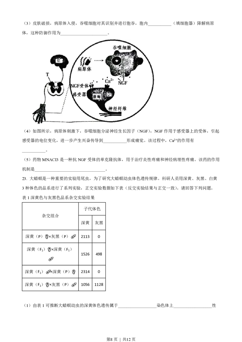 2022年高考生物试卷（江苏）（空白卷）_生物历年高考真题_新&middot;PDF版2008-2025&middot;高考生物真题_生物（按年份分类）2008-2025_2022&middot;高考生物真题
