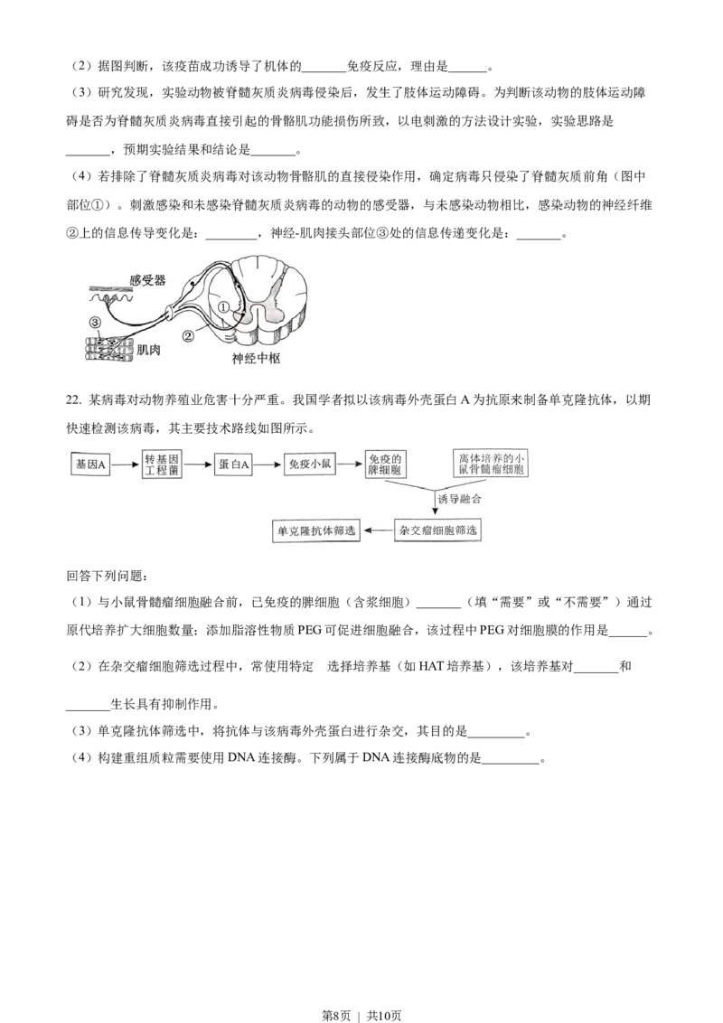 2023年高考生物试卷（湖北）（空白卷）_生物历年高考真题_新&middot;Word版2008-2025&middot;高考生物真题_生物（按省份分类）2008-2025_2008-2025&middot;（湖北）生物高考真题