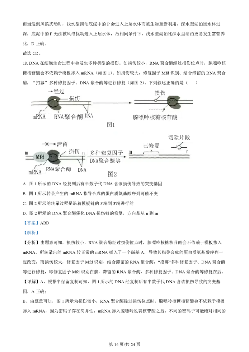 2023年高考生物试卷（辽宁）（解析卷）_生物历年高考真题_新&middot;PDF版2008-2025&middot;高考生物真题_生物（按试卷类型分类）2008-2025_自主命题卷&middot;生物（2008-2025）_辽宁自主命题&middot;生物（2021-2024）