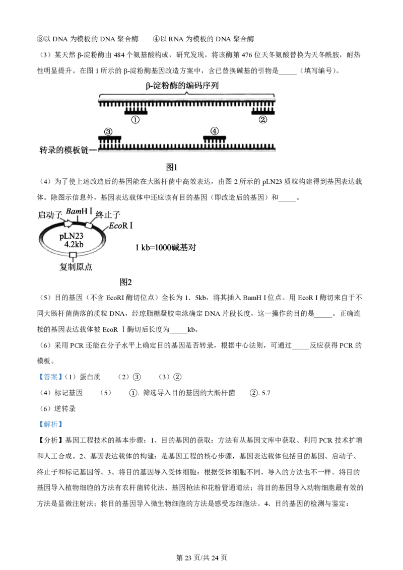 2023年高考生物试卷（辽宁）（解析卷）_生物历年高考真题_新&middot;PDF版2008-2025&middot;高考生物真题_生物（按试卷类型分类）2008-2025_自主命题卷&middot;生物（2008-2025）_辽宁自主命题&middot;生物（2021-2024）