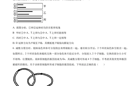 2023年高考生物试卷（山东）（空白卷）_生物历年高考真题_新&middot;Word版2008-2025&middot;高考生物真题_生物（按年份分类）2008-2025_2023&middot;高考生物真题