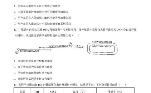2022年高考生物试卷（广东）（空白卷）_生物历年高考真题_新&middot;PDF版2008-2025&middot;高考生物真题_生物（按省份分类）2008-2025_2008-2025&middot;（广东）生物高考真题