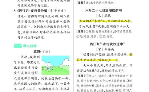 （六上)核心考点梳理_6年级小红书最新热门资料(1)