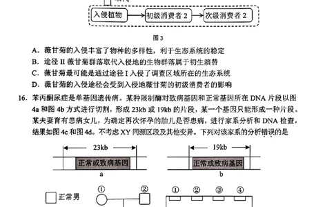 2024年2月深圳市高三一模生物试卷_@高三模考真题_2024年2月深圳市高三一模试卷及答案