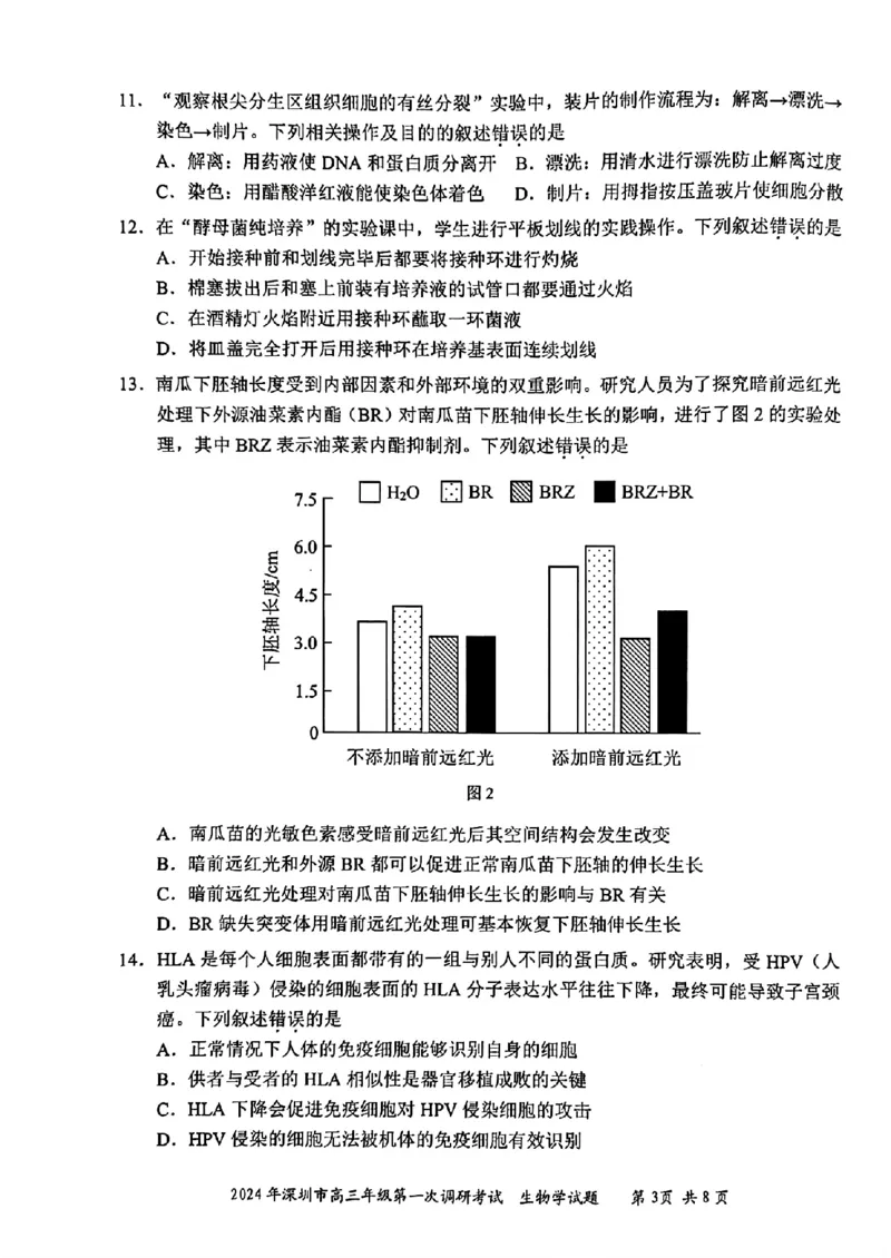 2024年2月深圳市高三一模生物试卷_@高三模考真题_2024年2月深圳市高三一模试卷及答案