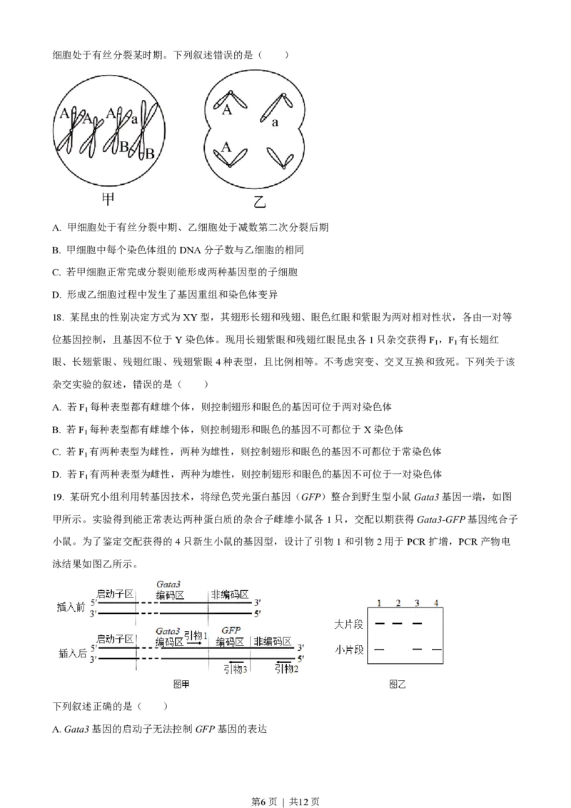 2023年高考生物试卷（浙江）（6月）（空白卷）_生物历年高考真题_新&middot;PDF版2008-2025&middot;高考生物真题_生物（按试卷类型分类）2008-2025_自主命题卷&middot;生物（2008-2025）