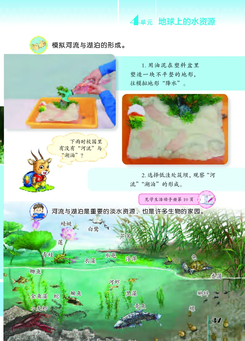 苏教版3年级科学上册高清教材_全部版本&bull;小学科学电子课本_苏教版小学科学电子课本