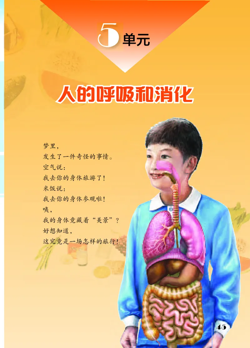 苏教版3年级科学上册高清教材_全部版本&bull;小学科学电子课本_苏教版小学科学电子课本