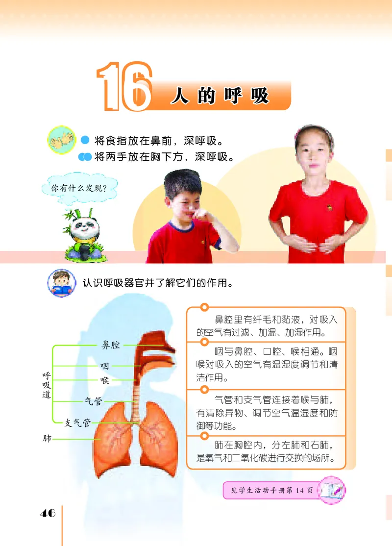 苏教版3年级科学上册高清教材_全部版本&bull;小学科学电子课本_苏教版小学科学电子课本
